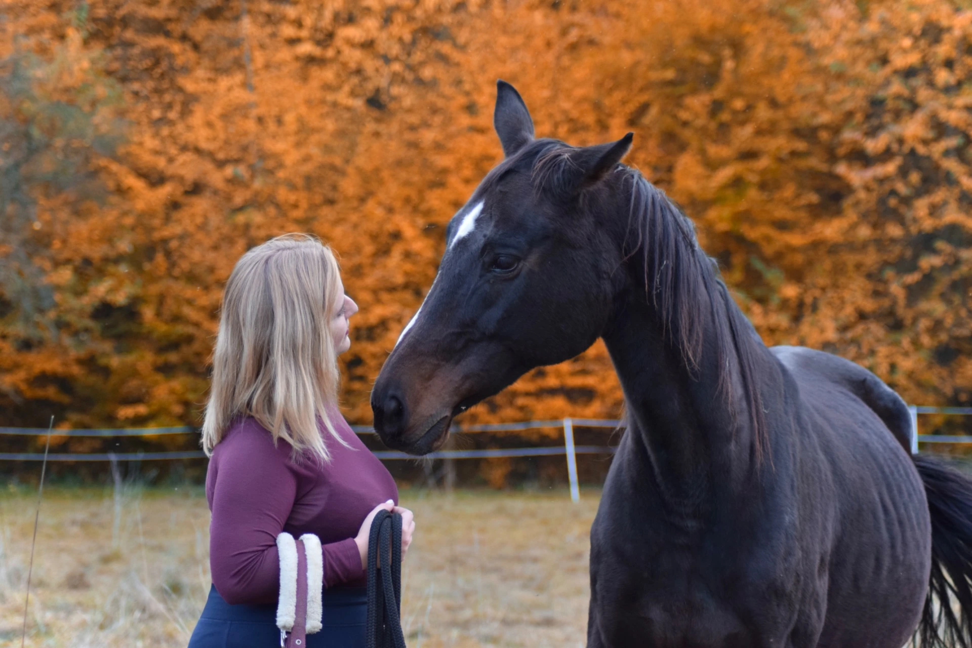 Individuální ježdění